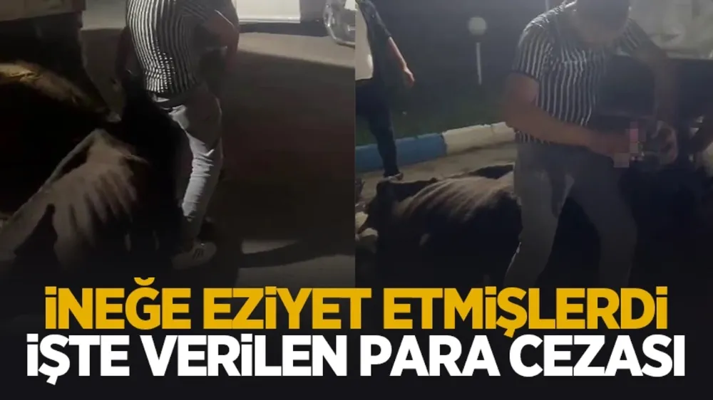 İneğe eziyet edenlere ceza yağdı