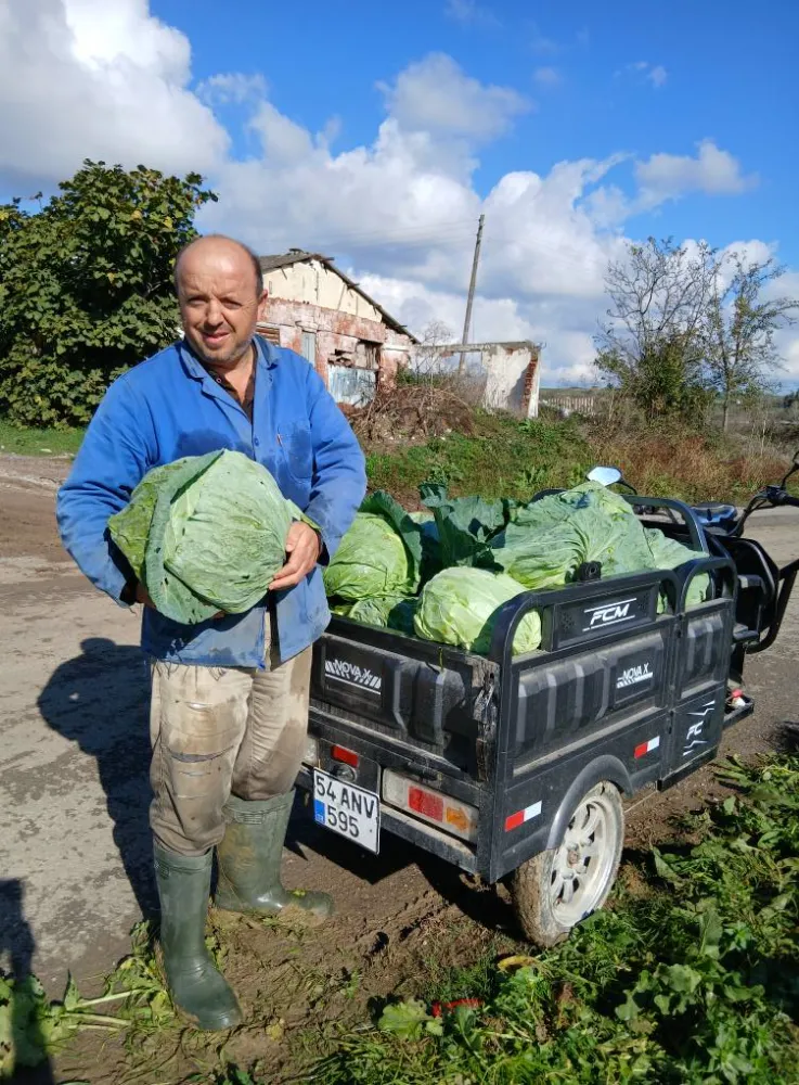Kaynarca Lahanası Işıl ışıl piyasaya sürülmeyi bekliyor