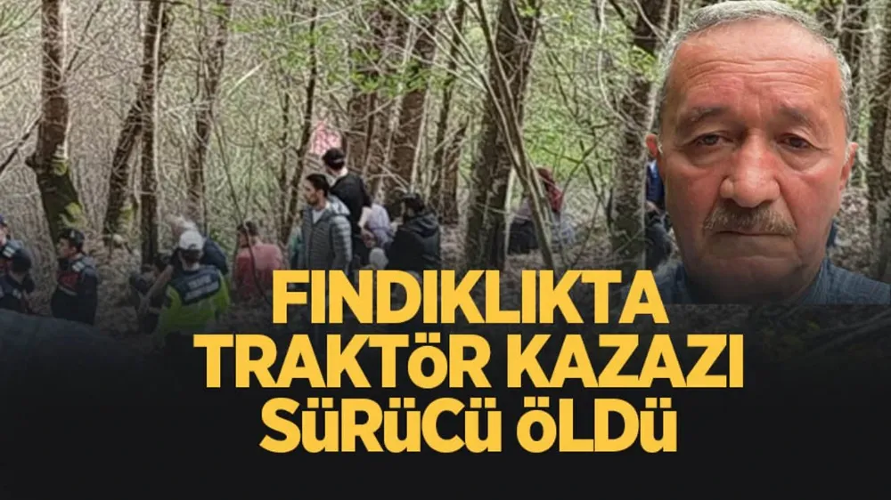  Fındıklıkta korkunç kaza; Sürücü öldü