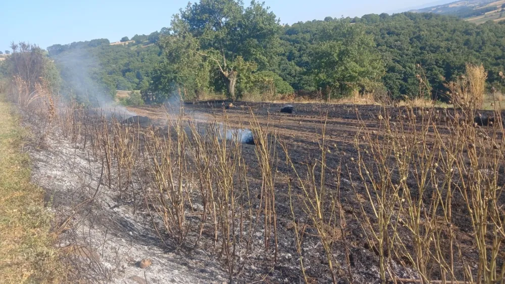 Aman dikkat, 24 ve 29 Haziran günleri aşırı sıcak hava,Kaynarca da Tarla yangını köye sıçramadan söndürüldü