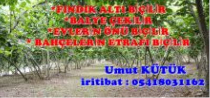 Fındık Altı,Ev Önleri,Bahçe yanları otları biçilir