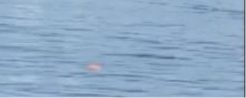 Kandıra Kumcağız sahilinde denizde bir erkek cesedi bulundu.