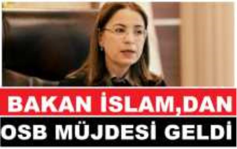 Kaynarca Makinacılar OSB İçin Bakan İslam Bakın Nasıl Bir Açıklama Yaptı