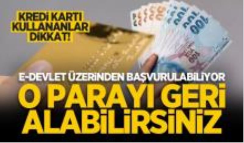 Kredi kartı kullananlar dikkat! E-Devlet üzerinden başvurulabiliyor: O parayı geri alabilirsiniz