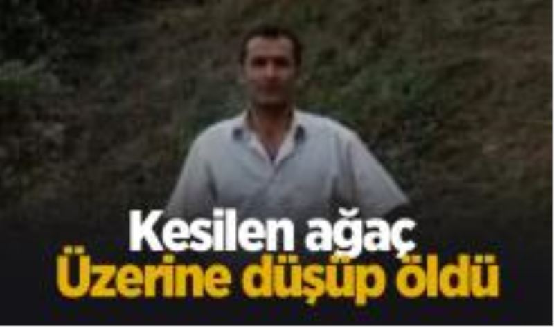 Ormanda feci ölüm