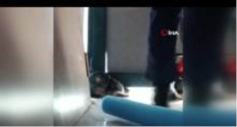 Yaramaz kedi kapının altına sıkıştı